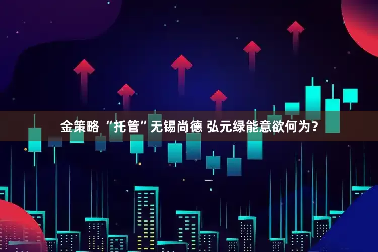 金策略 “托管”无锡尚德 弘元绿能意欲何为？