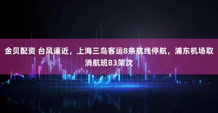 金贝配资 台风逼近，上海三岛客运8条航线停航，浦东机场取消航班83架次