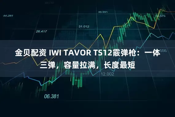 金贝配资 IWI TAVOR TS12霰弹枪：一体三弹，容量拉满，长度最短