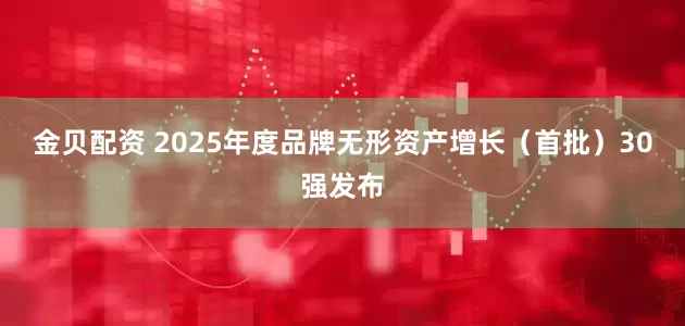 金贝配资 2025年度品牌无形资产增长（首批）30强发布